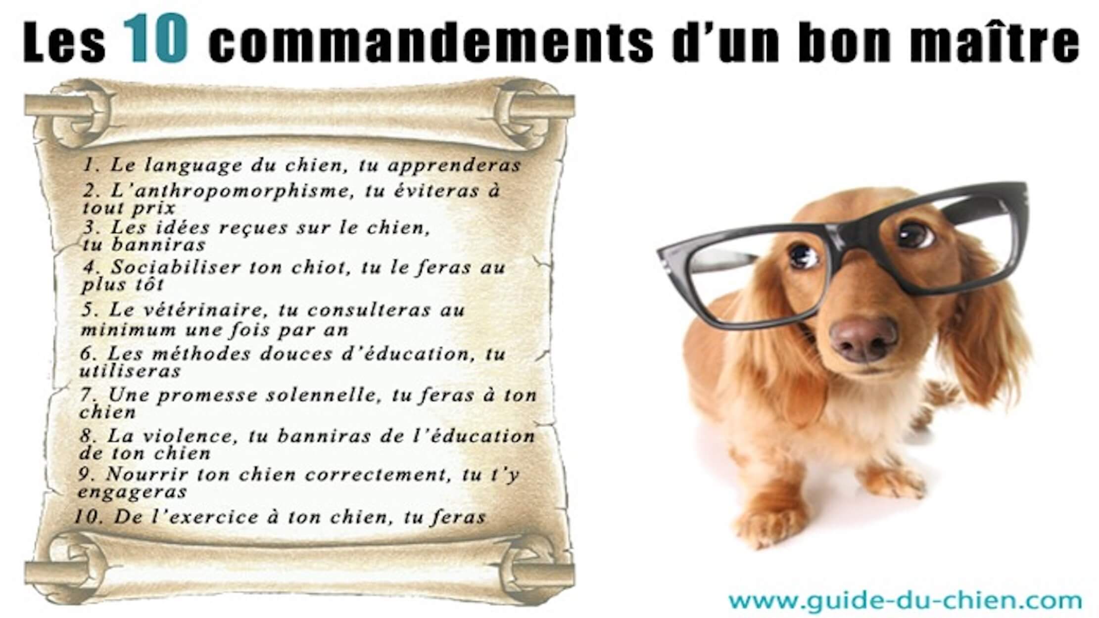 10-commandements-dun-bon-maitre