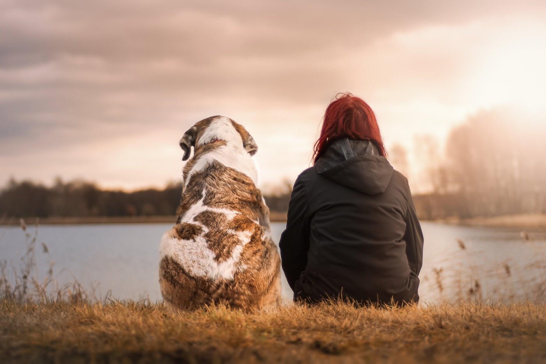 Relation chien homme