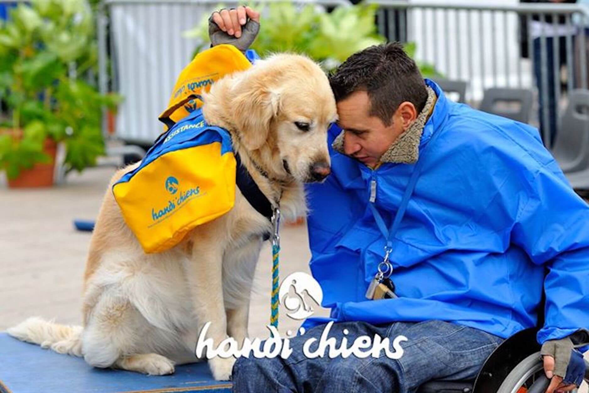 Association Handi’chiens