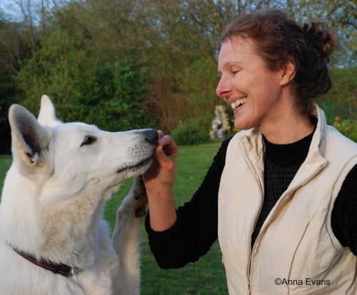 La Communication Intuitive® appliquée aux chiens et si nous parlions vraiment ensemble