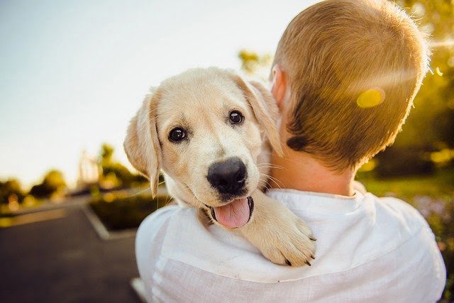 Le chien ne vit que l’instant présent