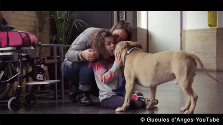 Le vrai visage des chiens dits « dangereux" : le spot vidéo Gueules d’Anges