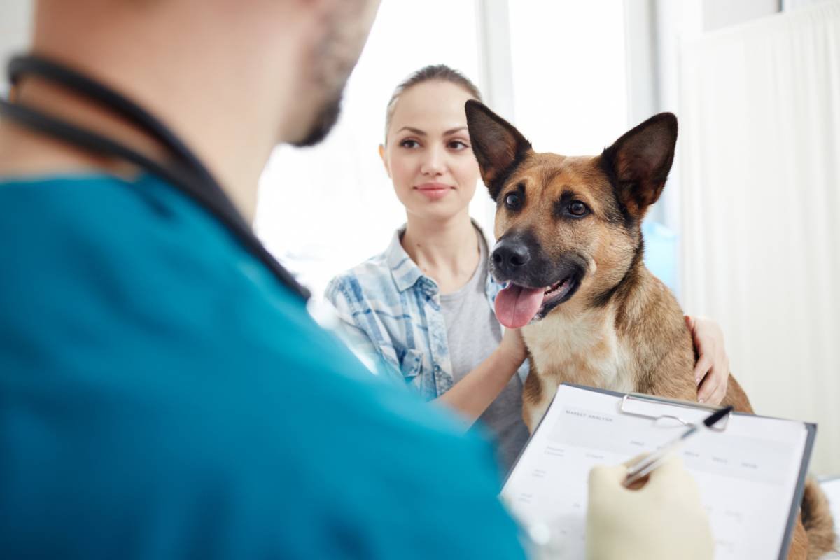 Pour quelles races de chiens prendre une assurance ?