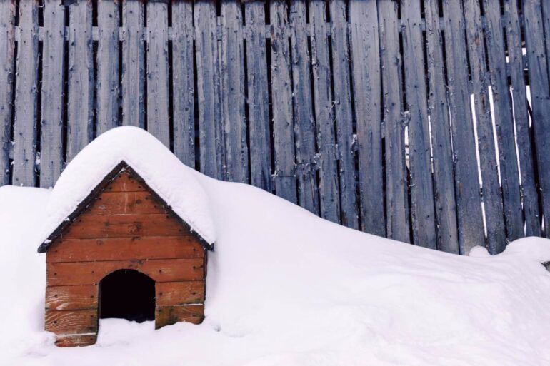 Comment protéger une niche du froid ?