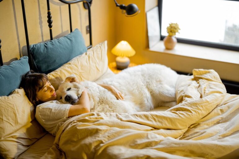 mon chien dort collé à moi