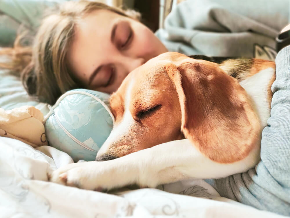 Femme dormant blottie contre son chien