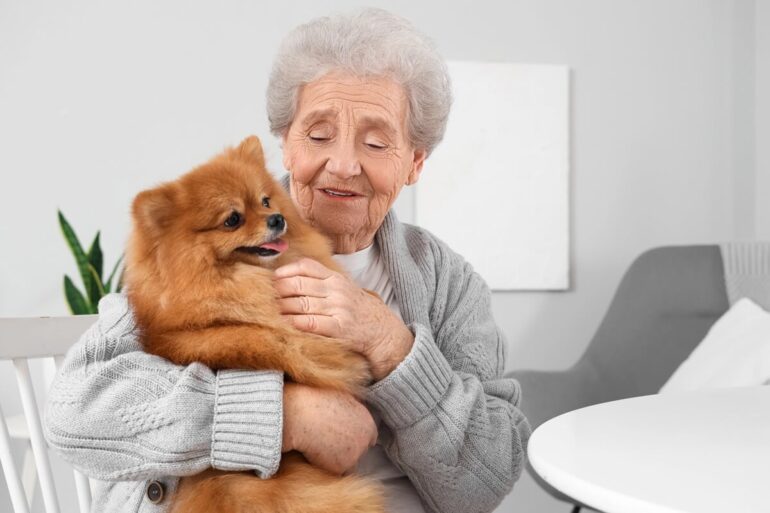 chien pour personne âgée top 13 des races adaptées