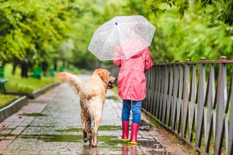 Promener son chien sous la pluie : 7 conseils