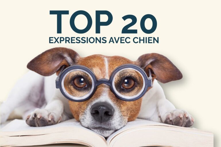 expression avec chien top 20