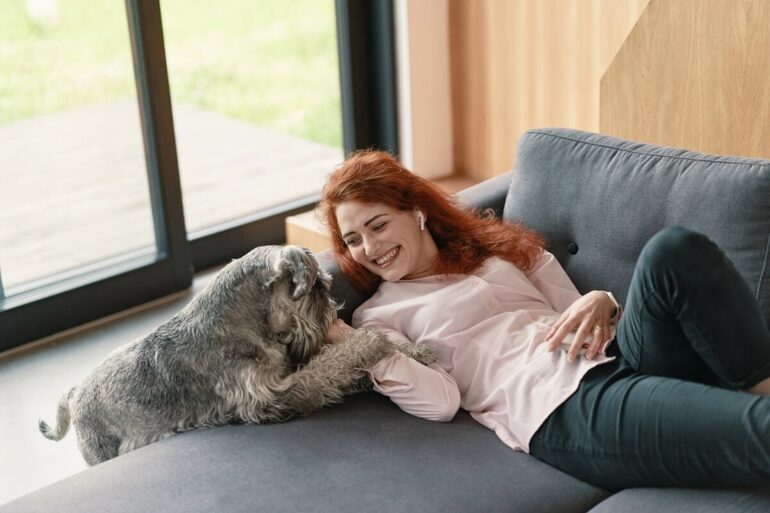 Pourquoi mon chien pose sa patte sur mon bras