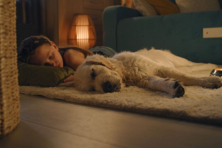 Propreté du chiot la nuit