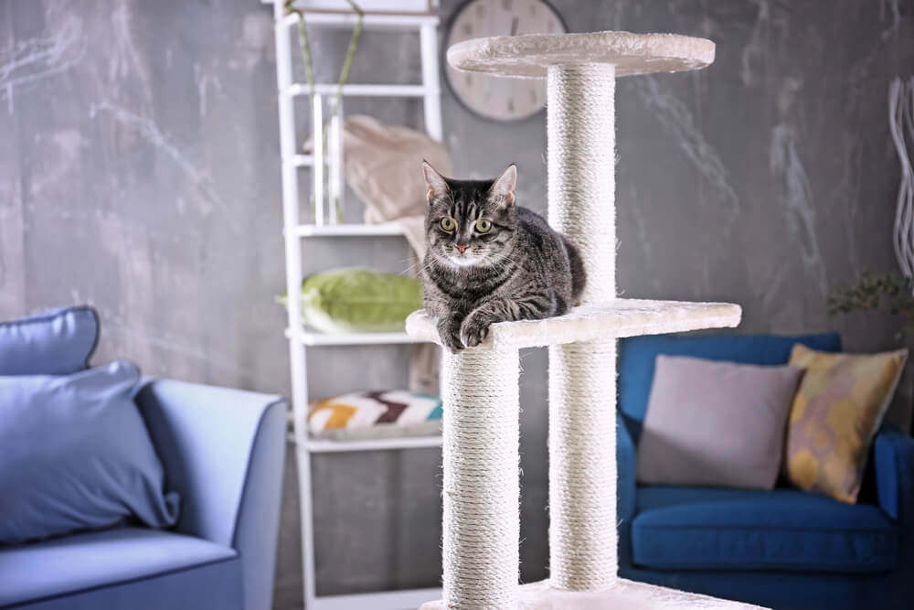 Un chat tigré allongé sur la plateforme supérieure d'un grand arbre à chat blanc installé au milieu d'un salon moderne.