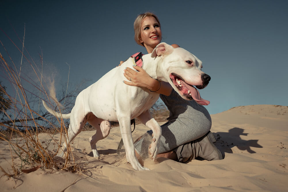 Femme enlaçant son Dogue Argentin sur des dunes de sable