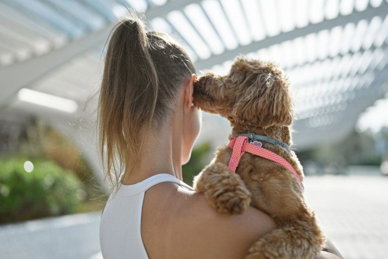 Petit chien qui lèche l'oreille de son humaine alors qu'elle le porte dans ses bras