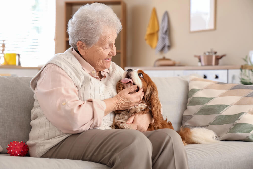 Une dame âgée assise sur un canapé avec un Cavalier King Charles couché à moitié sur elle