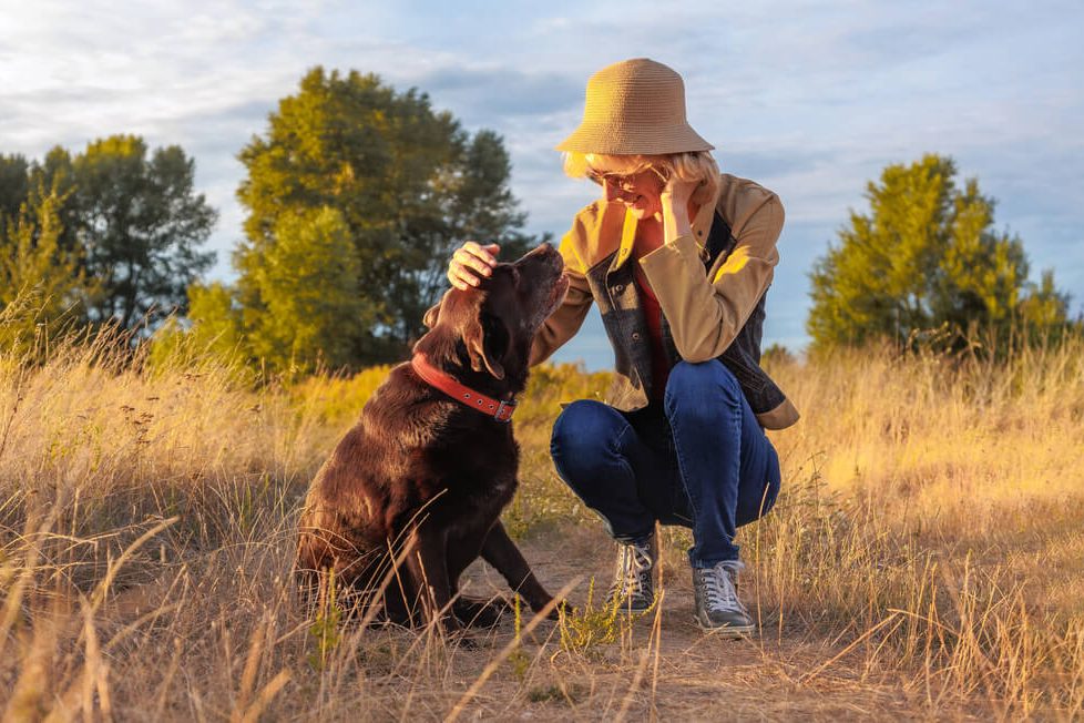 Femme accroupie dans les herbes sèches au coucher du soleil, la main sur la tête d’un labrador chocolat qui lève les yeux vers elle